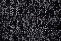 81A_1057.jpg