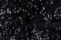 81A_1063.jpg