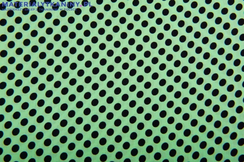 81B_4545.jpg