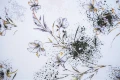 DSC03776.JPG