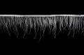 DSC04979.JPG