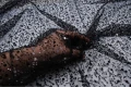 DSC05274.JPG