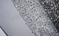 DSC05219x.JPG