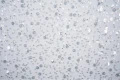 DSC05403.JPG