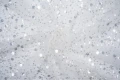 DSC05423.JPG