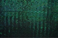 DSC05760.jpg