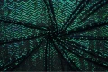 DSC05781.jpg