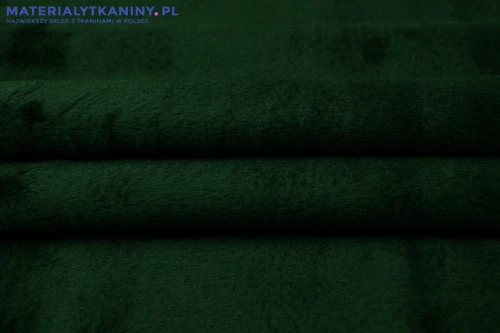 15520x.jpg