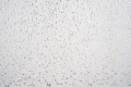 DSC09859.JPG