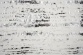 DSC09841.JPG
