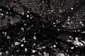 DSC04145.JPG