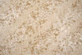 DSC04117.JPG