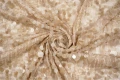 DSC04125.JPG